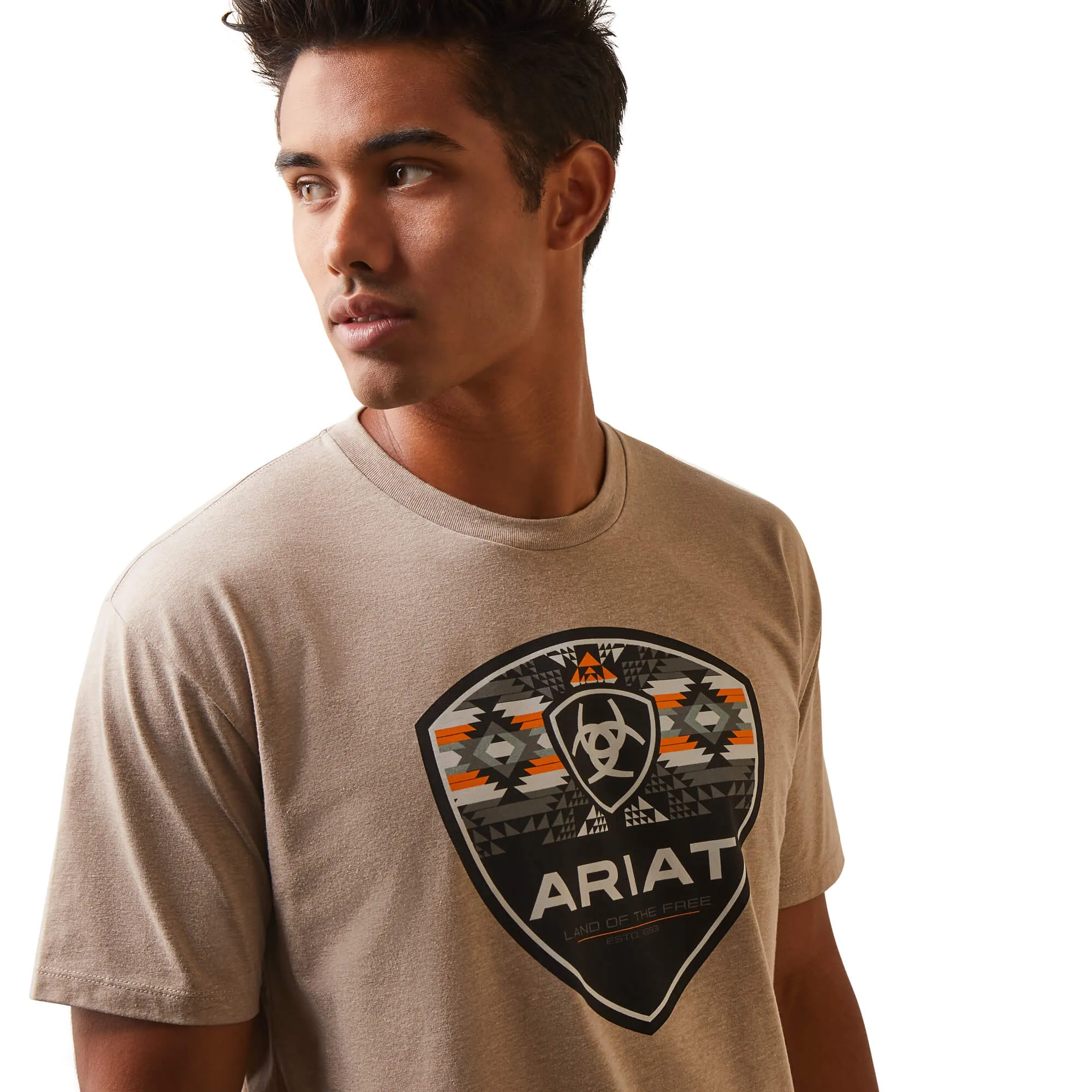 Ariat Men's Geo Fill Tee