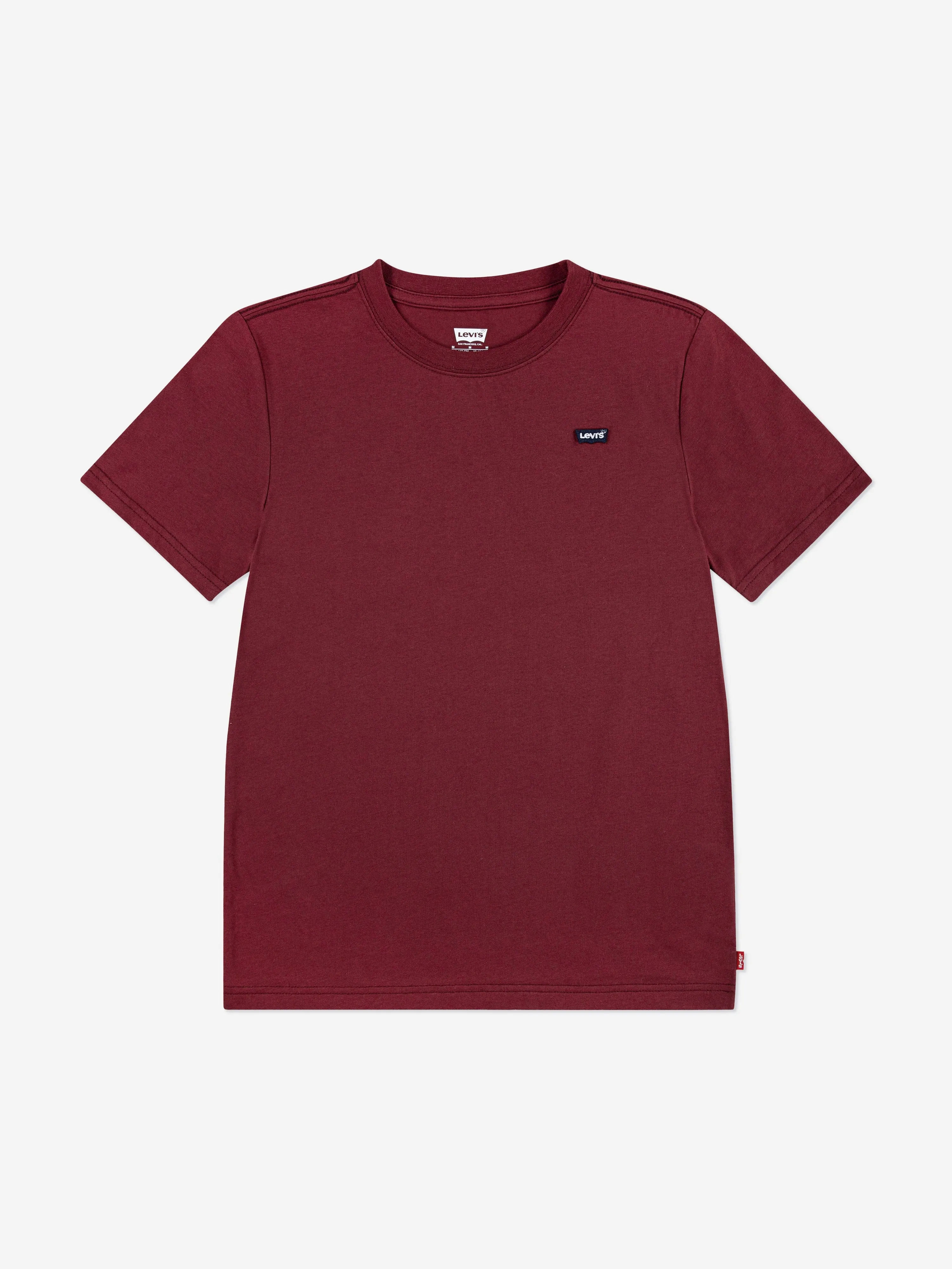 Levi's Boys Batwing Chest Hit T-Shirt in Brown