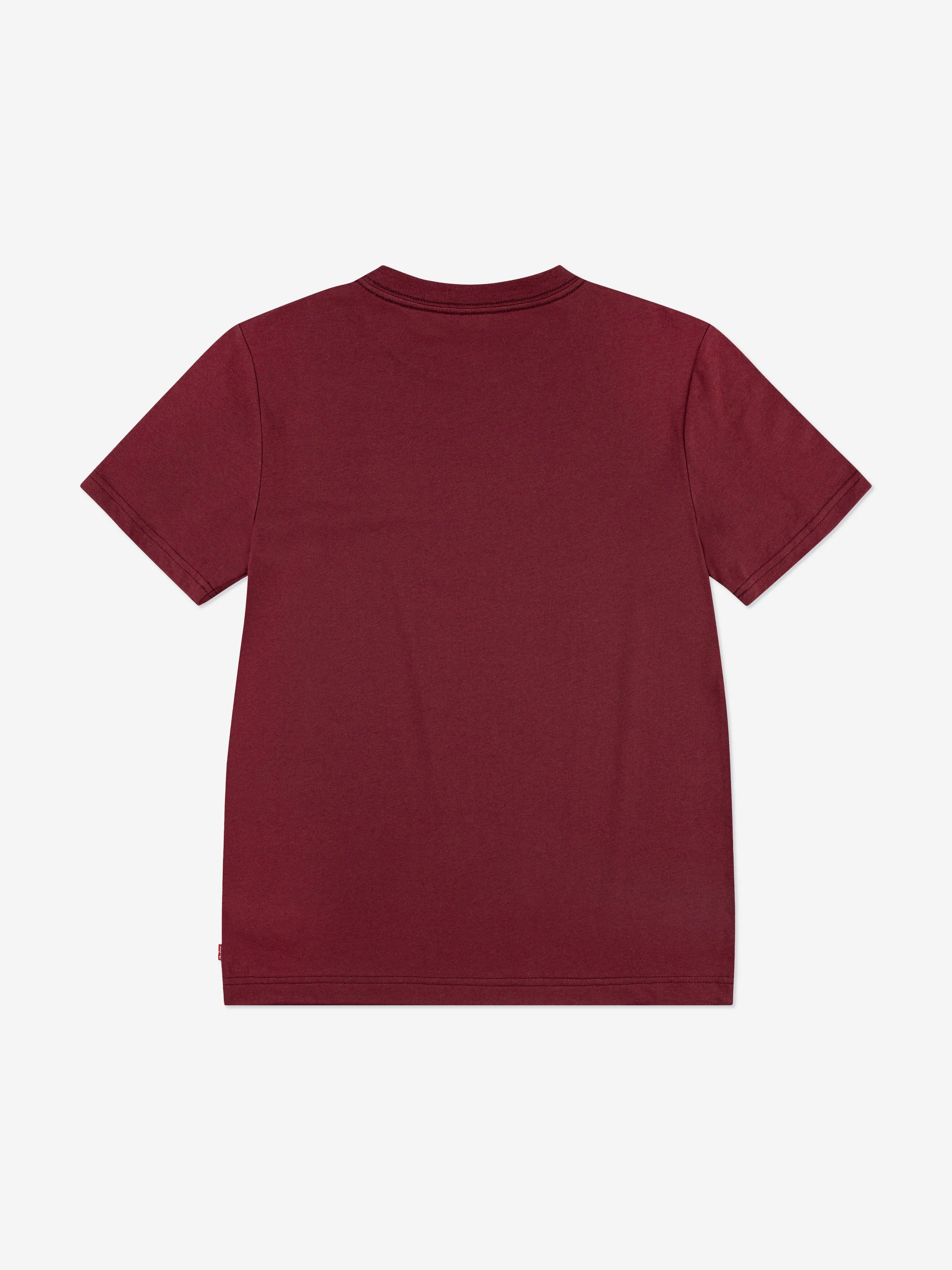 Levi's Boys Batwing Chest Hit T-Shirt in Brown