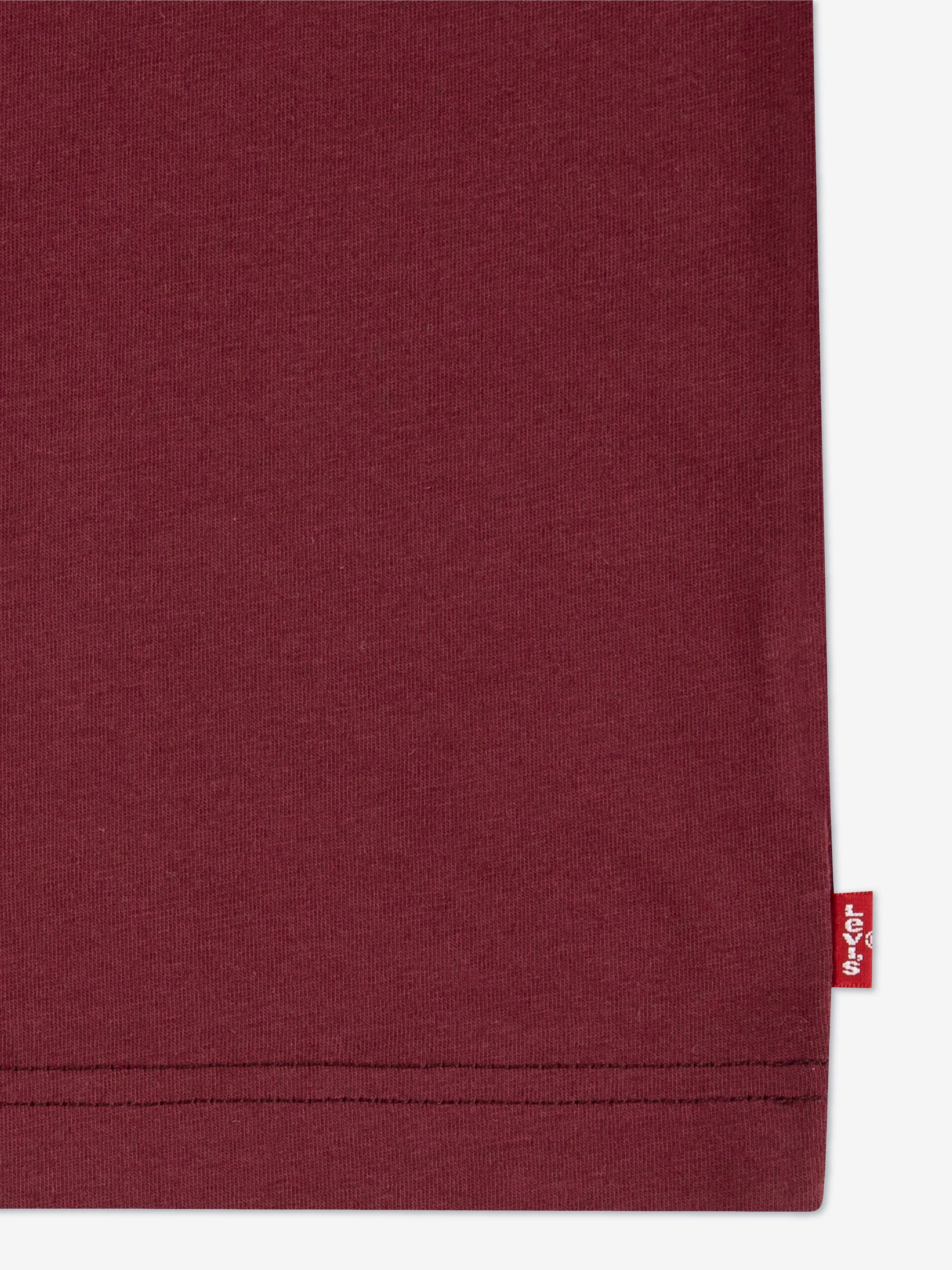 Levi's Boys Batwing Chest Hit T-Shirt in Brown